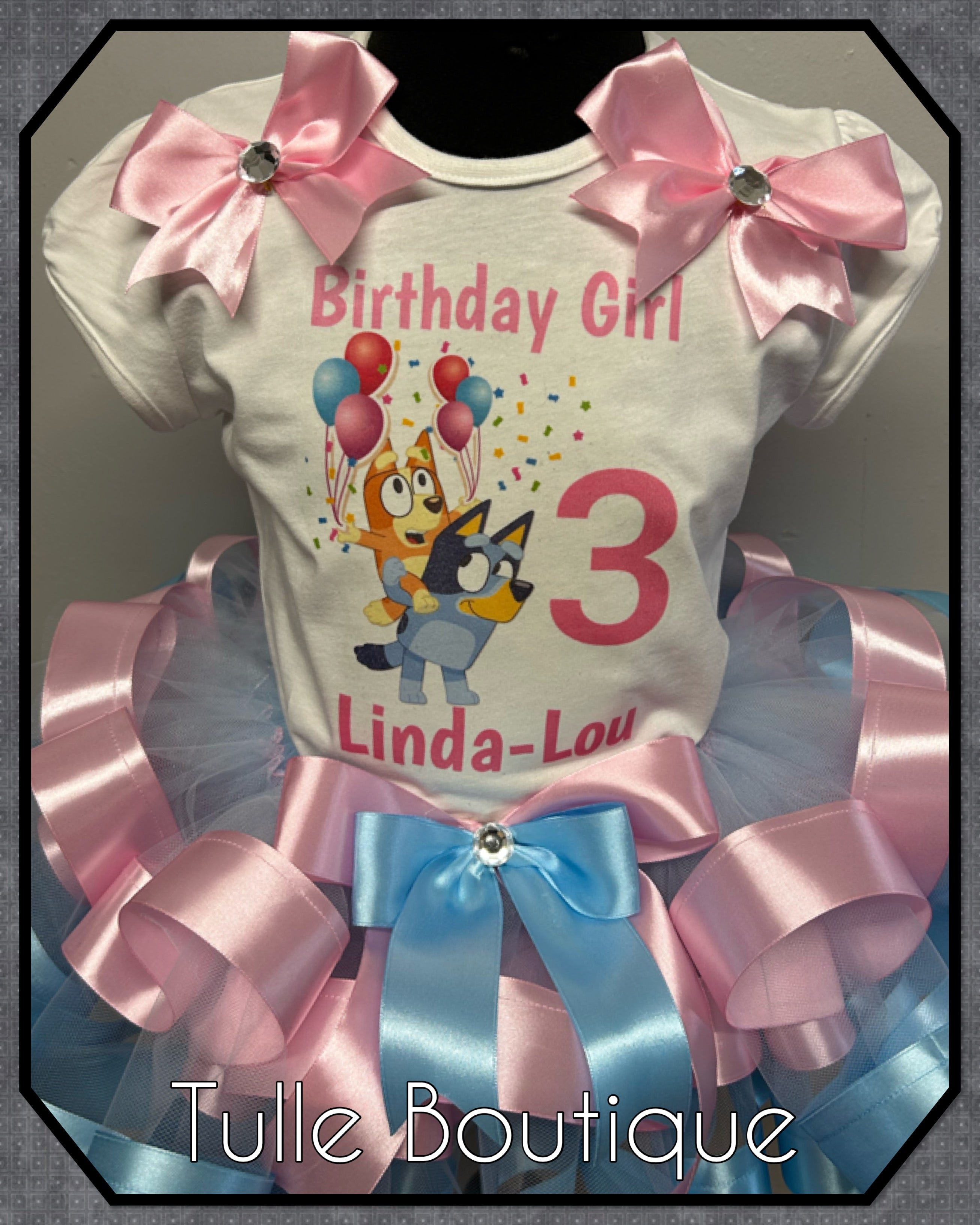 Girls toddlers Pink and Blue Bluey birthday tutu outfit fancy dress costume